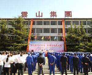 �ӱ���ɽ�������F���޹�˾