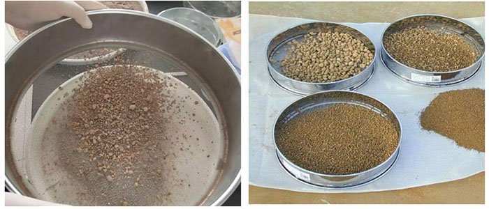 ԇ�Y�Y�������w���ּ�չʾ�D